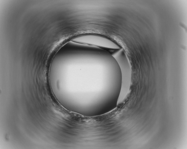 X0000095900395200802011133