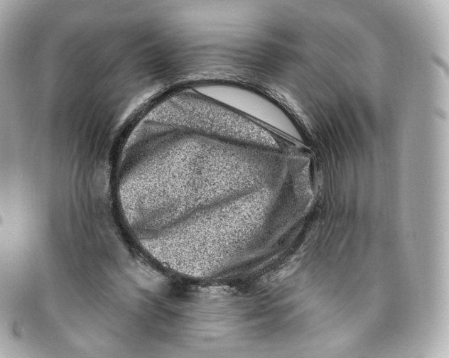 X0000095900396200802011133