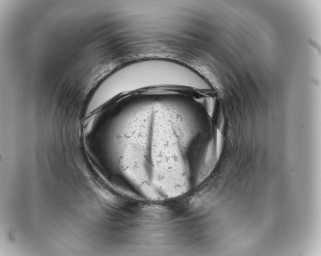 X0000095900397200802011133