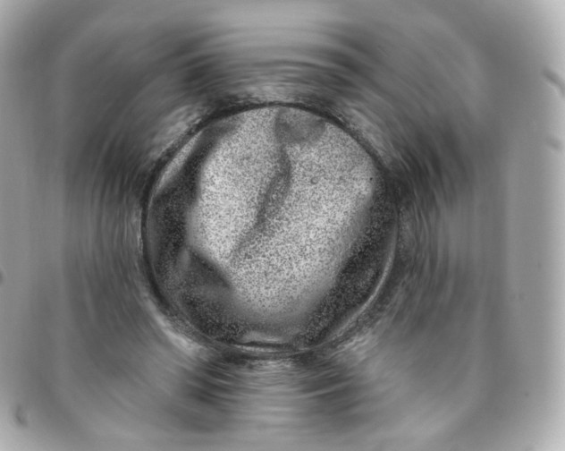 X0000095900398200802011133