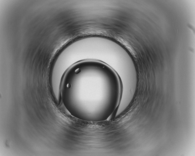 X0000095900399200802011133