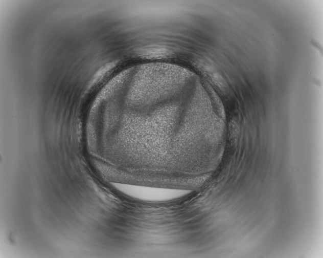 X0000095900400200802011132