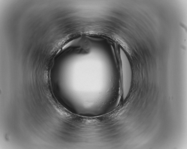 X0000095900401200802011132