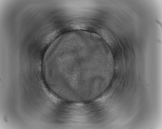 X0000095900402200802011132