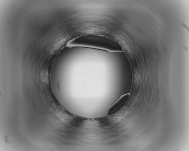 X0000095900403200802011132