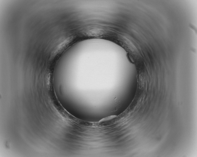 X0000095900404200802011132