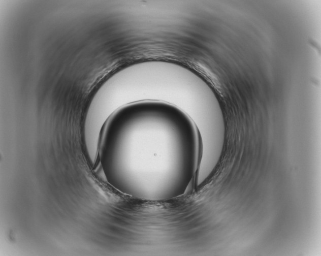 X0000095900405200802011132