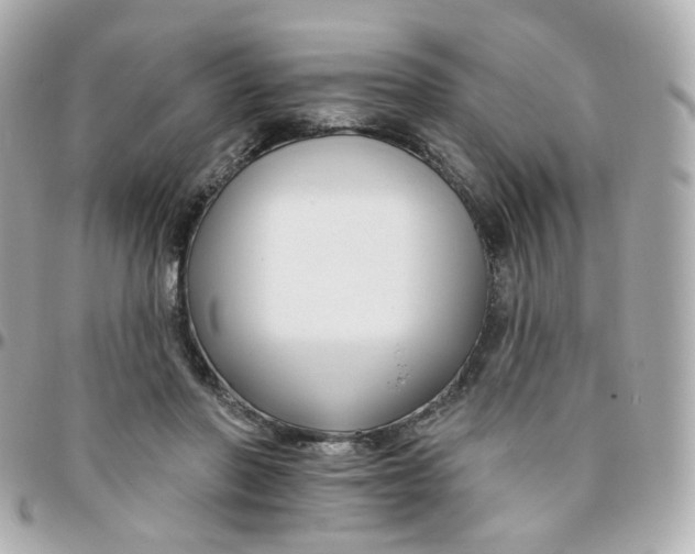 X0000095900406200802011132