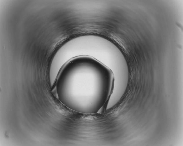 X0000095900407200802011132