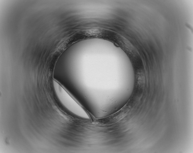 X0000095900408200802011132