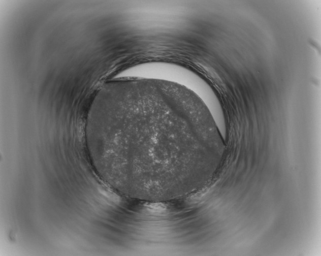 X0000095900409200802011132