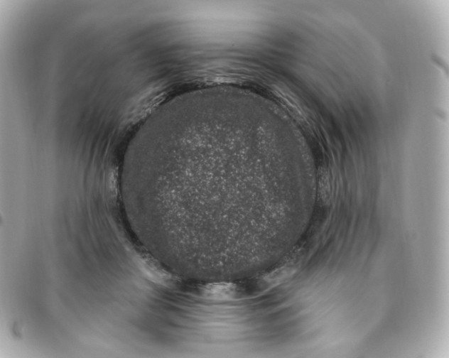 X0000095900410200802011132