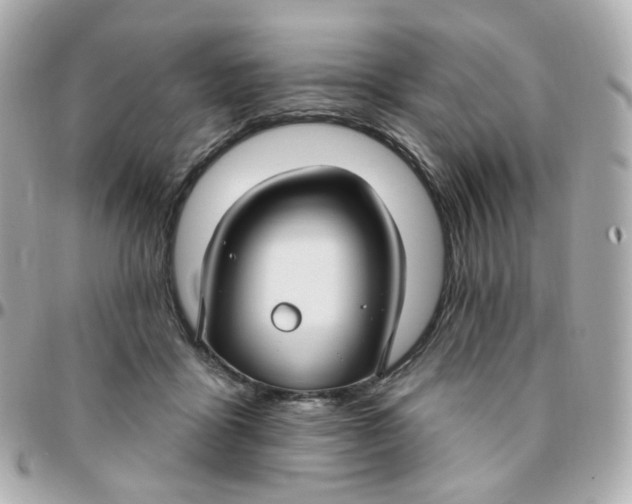 X0000095900411200802011132