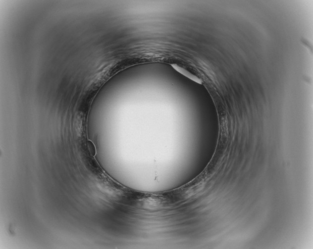 X0000095900412200802011132