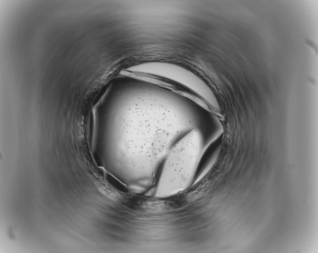 X0000095900413200802011132