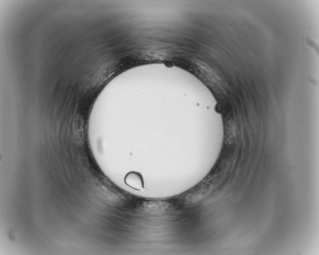 X0000095900414200802011132