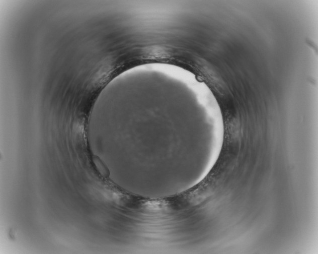 X0000095900415200802011132