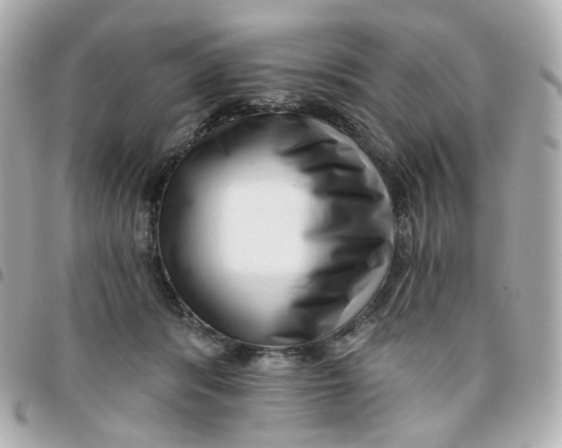 X0000095900416200802011132