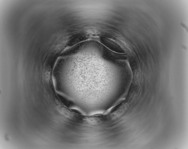 X0000095900417200802011132