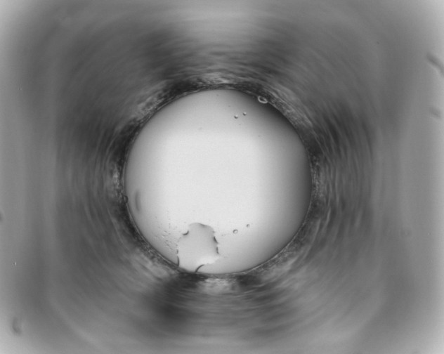 X0000095900418200802011132