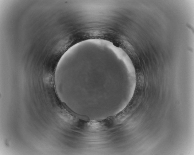 X0000095900419200802011132