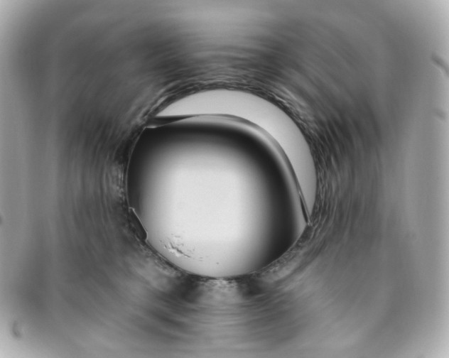 X0000095900421200802011132