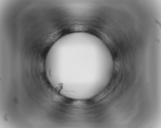 X0000095900422200802011132