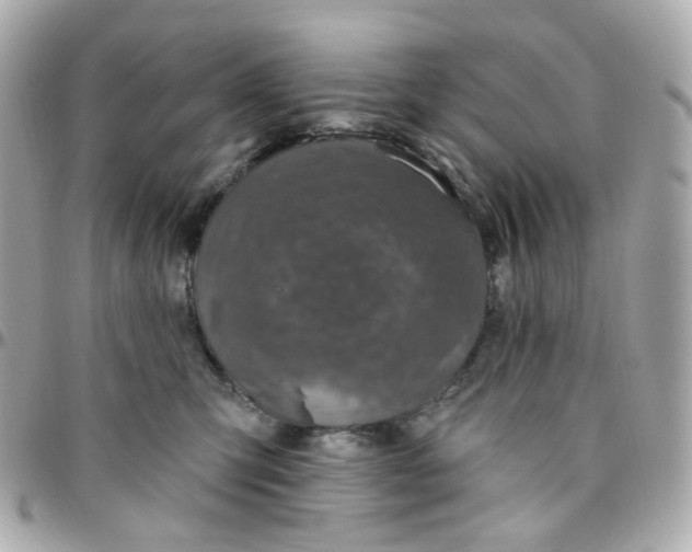 X0000095900423200802011132