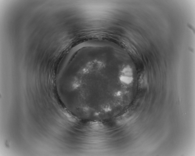 X0000095900424200802011132