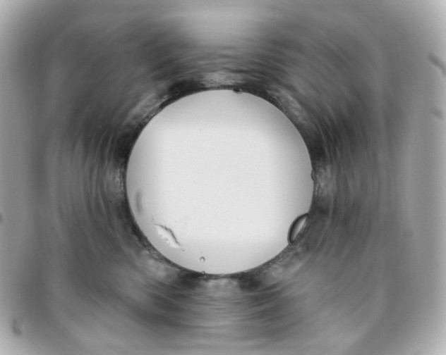 X0000095900426200802011132