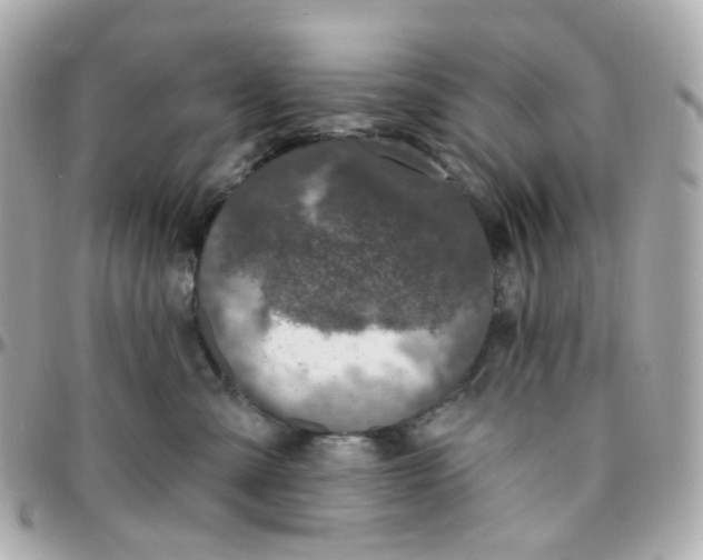 X0000095900427200802011132