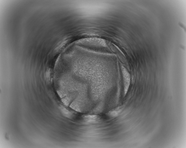 X0000095900428200802011132