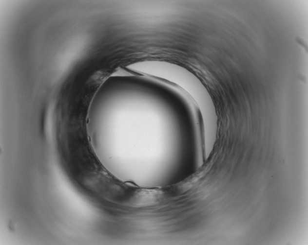 X0000095900429200802011132