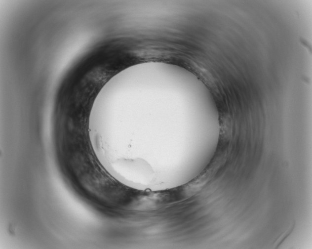 X0000095900430200802011132