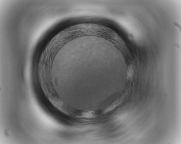 X0000095900431200802011132