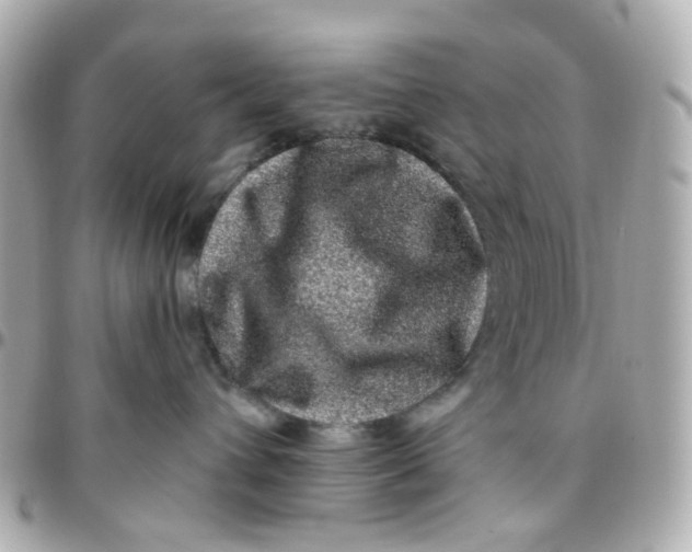 X0000095900432200802011132