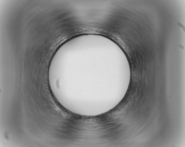 X0000095900433200802011131