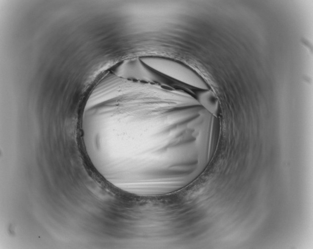 X0000095900434200802011131