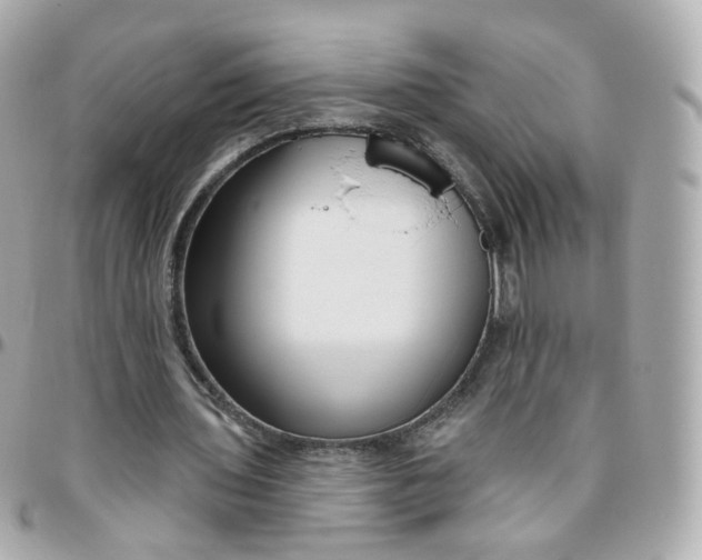 X0000095900435200802011131