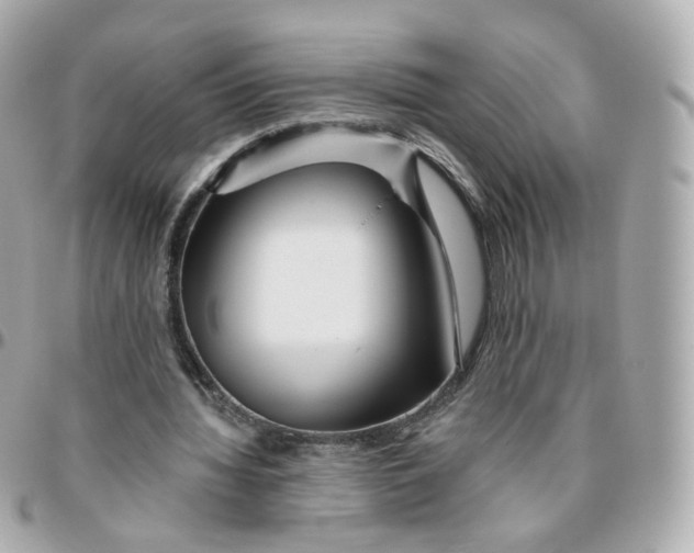 X0000095900436200802011131