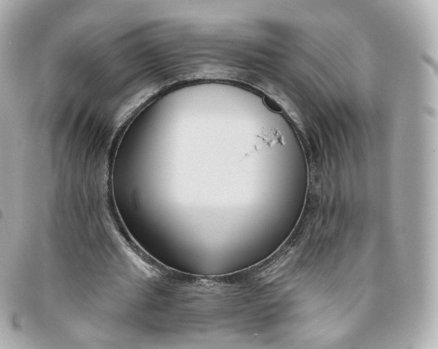 X0000095900437200802011131