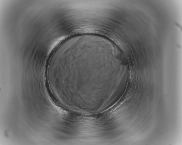 X0000095900438200802011131