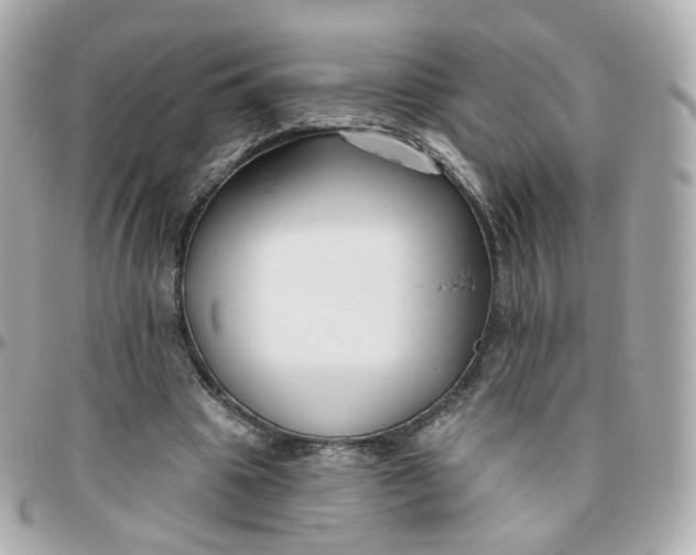 X0000095900441200802011132