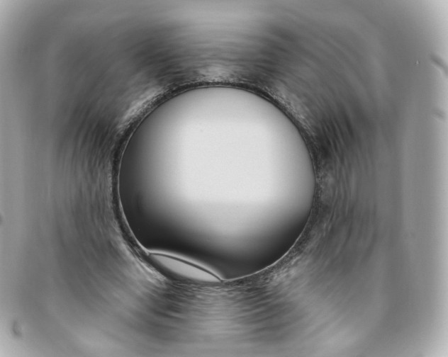 X0000095900442200802011132