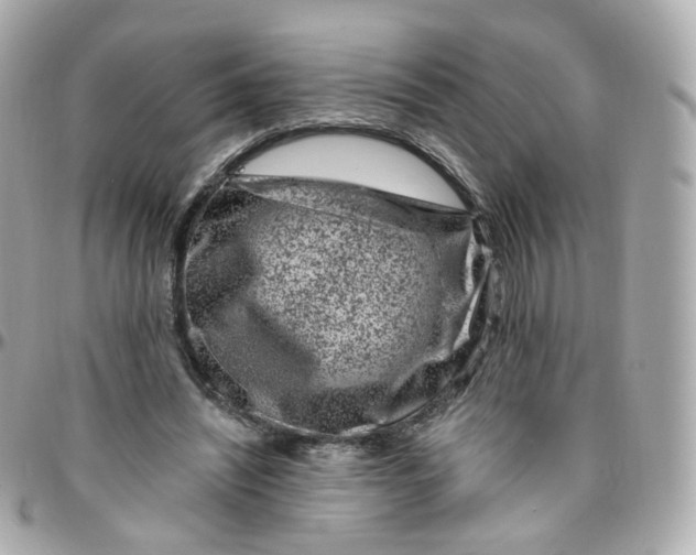 X0000095900444200802011132