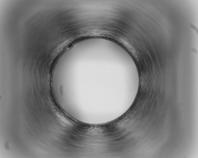 X0000095900445200802011132