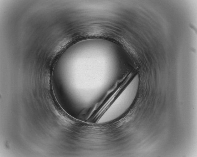 X0000095900446200802011132