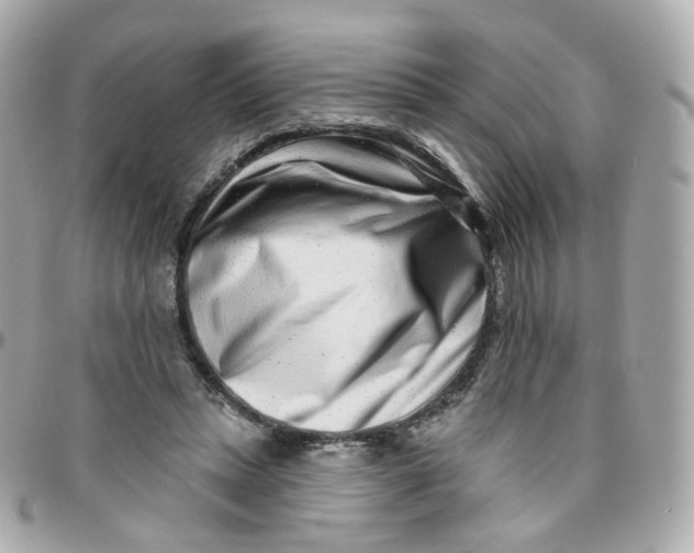 X0000095900447200802011132