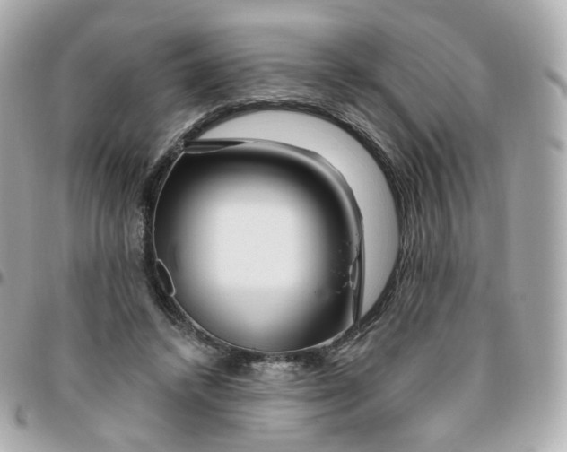 X0000095900448200802011132