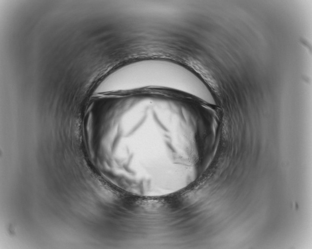 X0000095900449200802011132